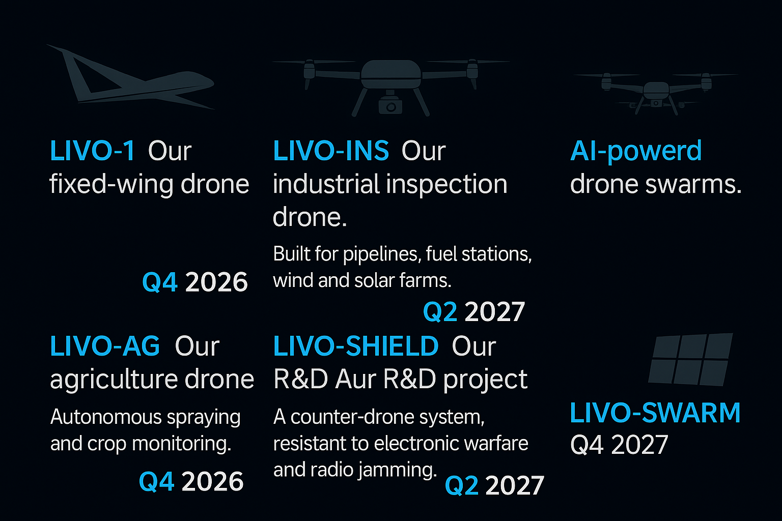 LivoSystems Roadmap
